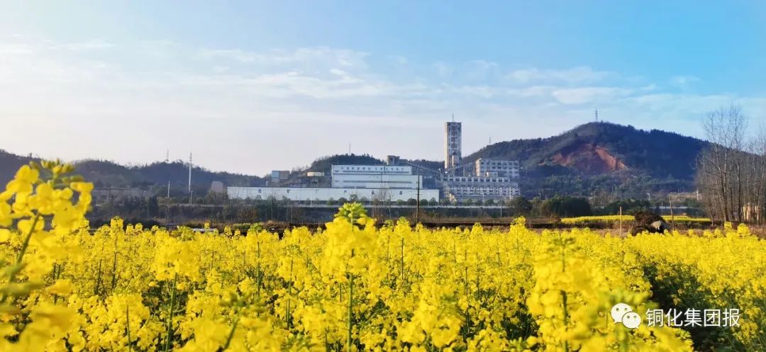 中国·银河集团(galaxy)有限公司-官方网站