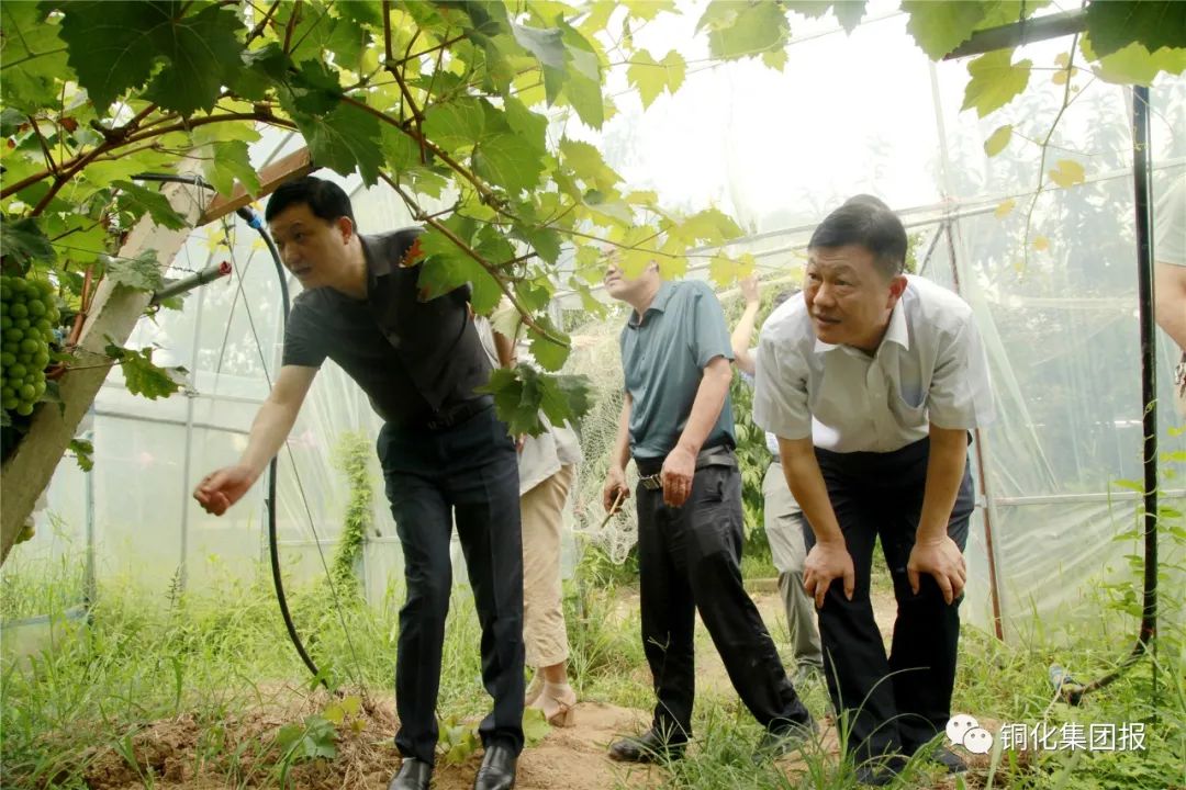 中国·银河集团(galaxy)有限公司-官方网站