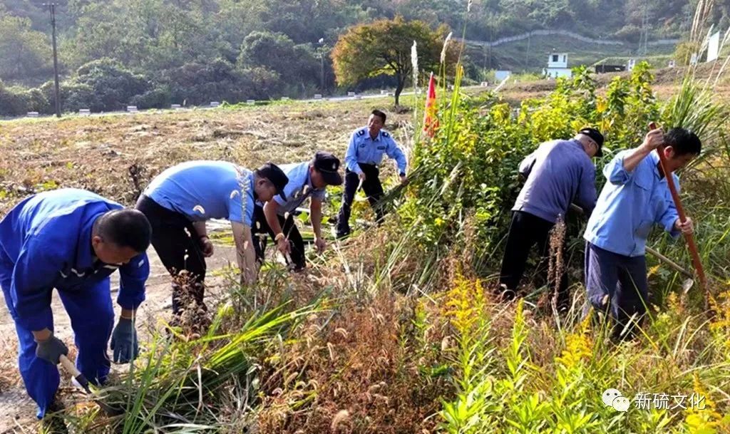 中国·银河集团(galaxy)有限公司-官方网站