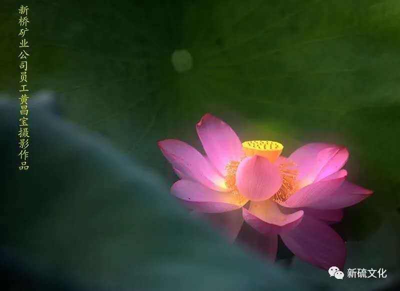 中国·银河集团(galaxy)有限公司-官方网站