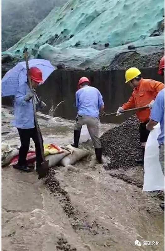 中国·银河集团(galaxy)有限公司-官方网站