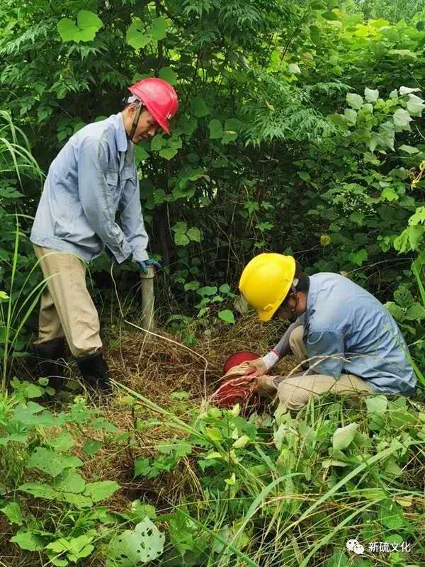 中国·银河集团(galaxy)有限公司-官方网站